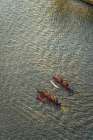 Colorful red canoes, Ala Wai Canal, Honolulu, Oahu, Hawaii. Art Print